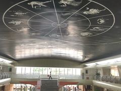 -深圳少年儿童图书馆