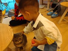 -猫咪派对(江南西店)