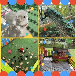 -萌宠亲子动物乐园(槐房万达店)