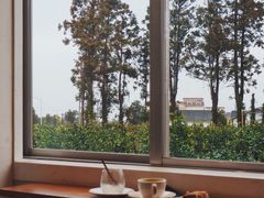 -柑橘农场