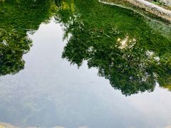 -成都市活水公园