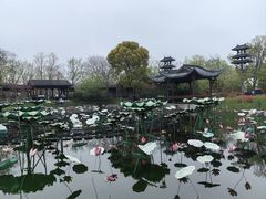 -西溪国家湿地公园