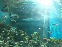 -常州海昌海洋探索馆