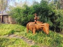 -溱湖国家湿地公园