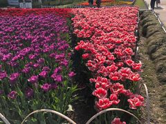 -玄武湖景区-情侣园游乐场