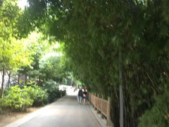 -贵阳市花溪国家城市湿地公园