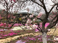 -棒棰岛宾馆景区