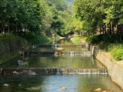 -广州白江湖森林公园