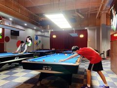 -丁俊晖台球俱乐部(海上海·弘基休闲广场店)