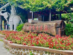 -盈香心动乐园