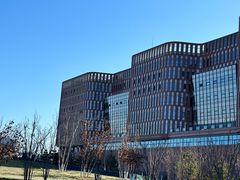 -中国宋庆龄青少年科技文化交流中心