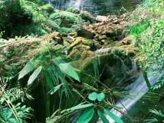-鹿院坪生态旅游景区