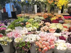 -双季花艺园艺市场(浦东店)