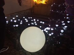 -龙环葡韵住宅式博物馆