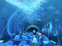 -海棠湾洲际-涛·海底餐厅·美人鱼·自助餐·海底隧道