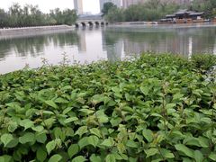 -迎泽公园