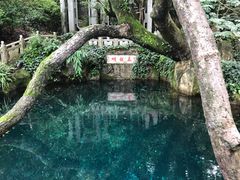 -蝴蝶泉公园