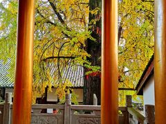 -金堂县云顶石城风景区