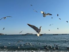 -银沙滩浴场