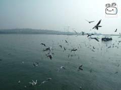 conew_img_3109-栈桥景区