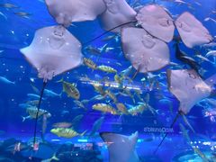 -成都浩海立方海洋公园