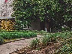 -西南政法大学(沙坪坝校区)