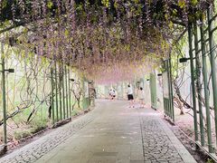 -苏州太湖国家湿地公园