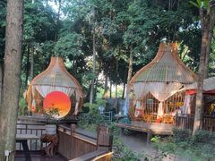 -二荆条·蜀鲜汇城市森林火锅