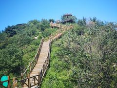 -大岭沟猕猴桃谷风景区