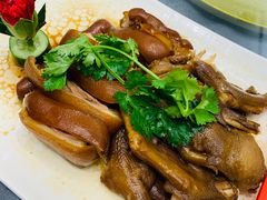 -新锦鸿(演达店)