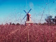 -羊亭河湿地公园