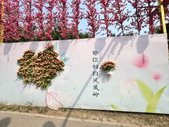 -北京凤凰岭