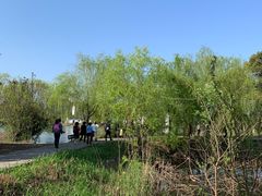 -长兴太湖图影湿地文化园