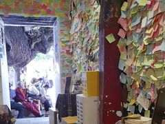 -古树酸奶(八廓南街店)