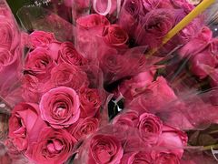 -循礼门鲜花花市(武汉循礼门店)