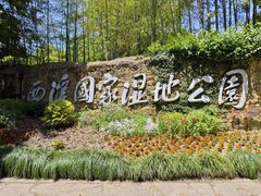 景点-西溪国家湿地公园