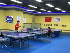 -乐旋乒乓球(深圳南油店)