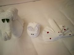 -厦门悦华酒店