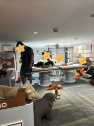 -奈尔宝·儿童乐园·亲子餐厅(星河湾店)