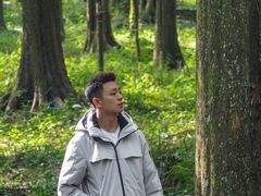 -武陵山森林公园