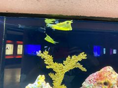 -上海海洋水族馆