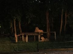-清迈夜间动物园