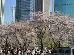 -西北湖绿化广场