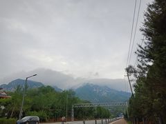 -中原农家乐(中原饭店)
