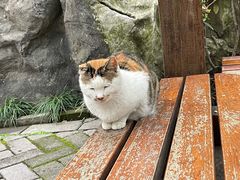 -静安公园(静安寺街道)