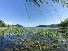 -南北湖风景区