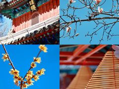 -潭柘寺景区
