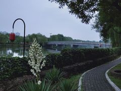 -西安汉城湖景区