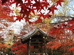 -常寂光寺