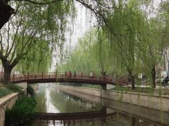 -海棠花溪(元大都城垣遗址公园)